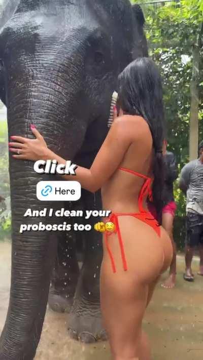 Showering an Elephant in an Orange Thong Bikini with a Naughty Proposition (Arianka Diamond Promo IG HD Clip)