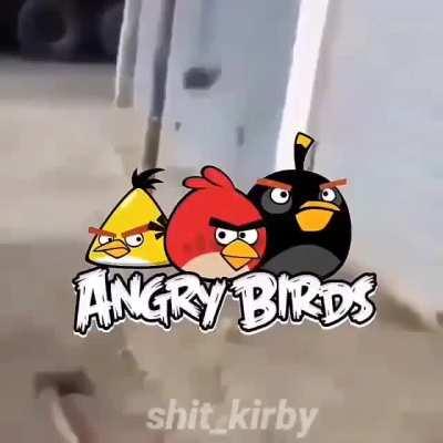 Modo angry birds😎👌