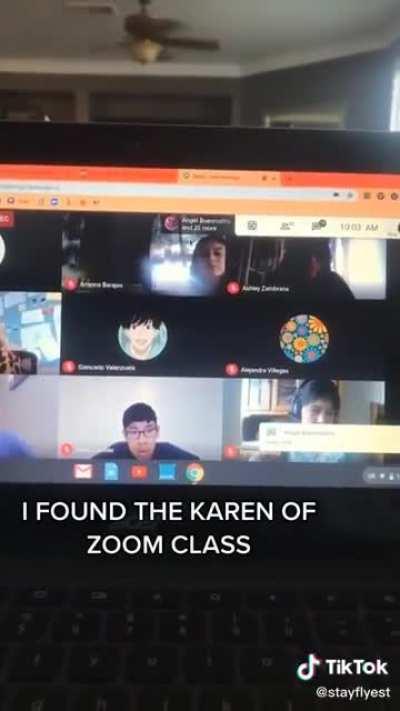 Karen infiltrates zoom