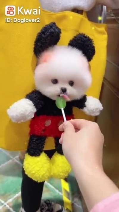 Sharing a lollipop with mickey mouse