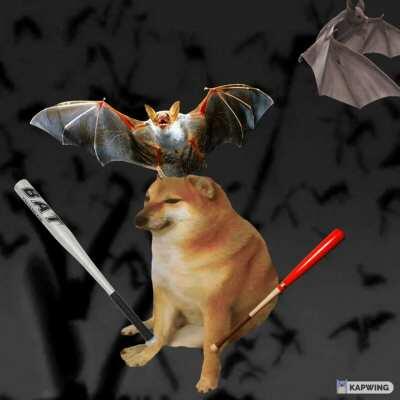 doge and all his bats on their way to bonk