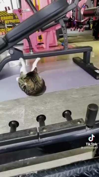 Gym instructor