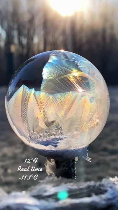 Soap bubble freezing