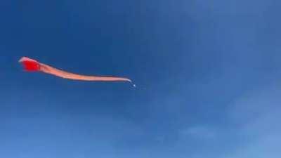 3 Year Old kid carried into the sky by a kite during an International Kite Festival