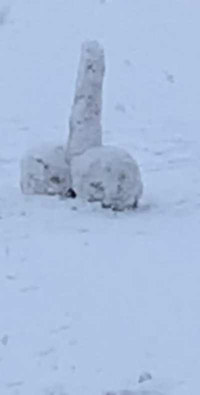 What snowmen look like in Canada, incase you were wondering….