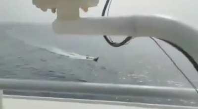 A crew member aboard the Greek-owned bulk carrier &quot;Tutor&quot; films a Houthi naval kamikaze drone attacking the ship. The crew was later evacuated by the US Navy