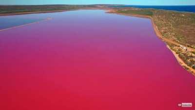 Bubble gum colored lake, a pink abnormality..