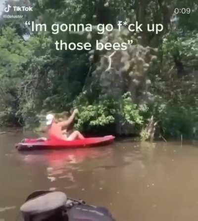 What if a fuck with this bees