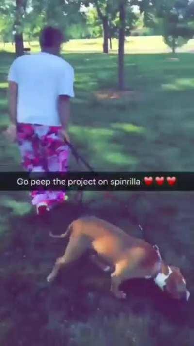 Juice WRLD walking his dog in the park