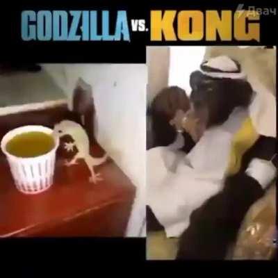 Godzilla VS Kong training