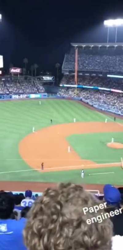 Man lands paper airplane on the field and the whole crowd cheers for him