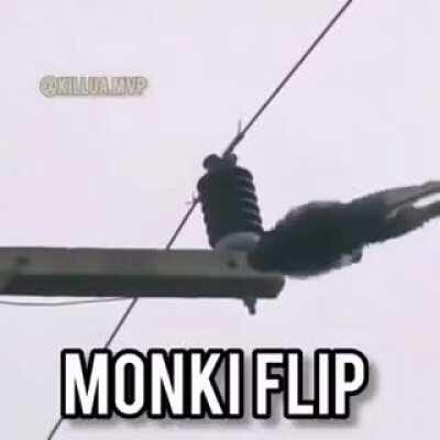 Monki flip