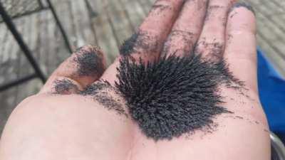 Magnetite sand from Lake Superior