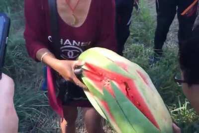 Mongolian way of cutting watermelon