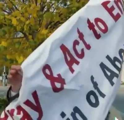 Crazy lady attacks pro-life protest with paint