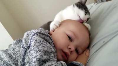 I keep telling that cat that’s my baby not hers, but she doesn’t believe me.