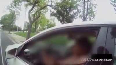 Police officer harasses black woman for driving while black