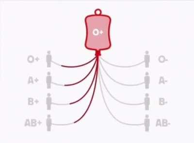 Little guide on what blood types are compatible with others.