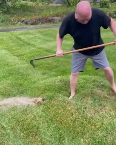 Earth pimple in a backyard after heavy rain