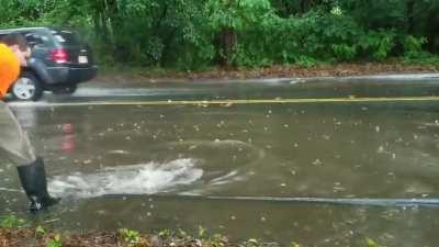 This guy voluntarily drained flooded street with his garden rake