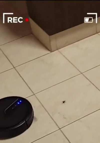 DeMeNtEd RoOmBa HuNtS dOwN dEfEnSeLeSs SpIdEr