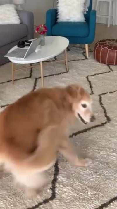 Senior boy can't stop shaking his booty