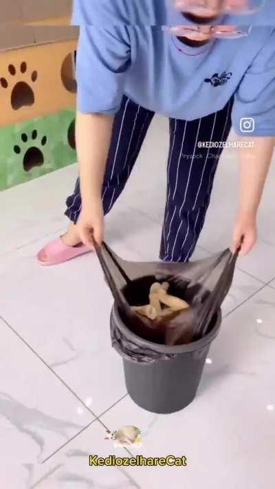 Her ass won't be recycled alhamdulillah