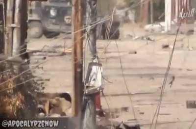 ISIS fighter with stolen Iraqi army Humvee