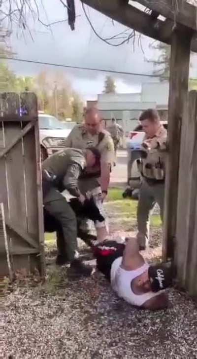 Non-violent black man too afraid of police to struggle against police dog biting him.