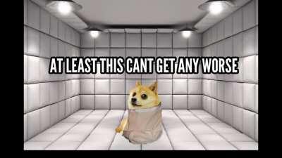 le asylum has arrived