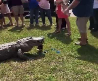 Gender reveal party in Florida