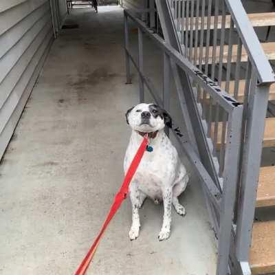 You could say he doesn’t enjoy the rain.