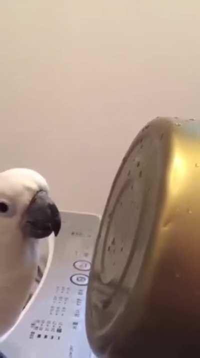 Parrot Pan Tuning