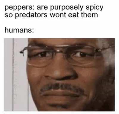 spicy good lol