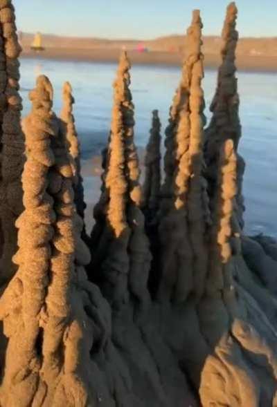 This castle of wet sand