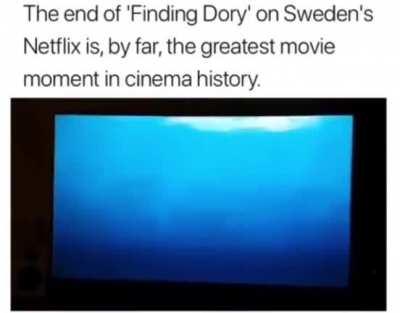 Finding Dory