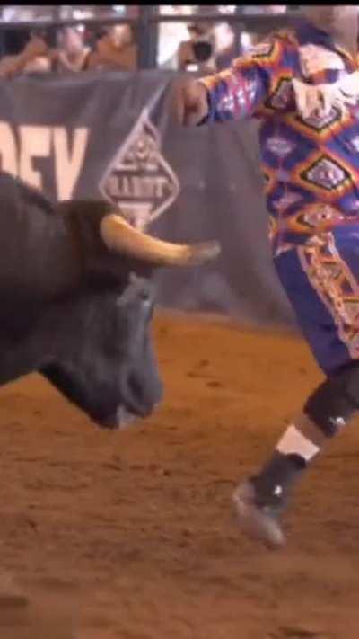 Freestyle Bullfighting