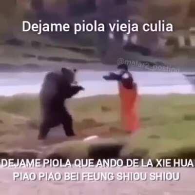 SHIN SHAO HUA PIAUÍ XIE FEUNG