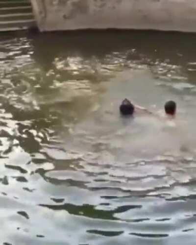 Owner pretended to drown to see how his dog would react.