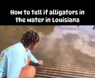 How to tell if there are alligators are in the water
