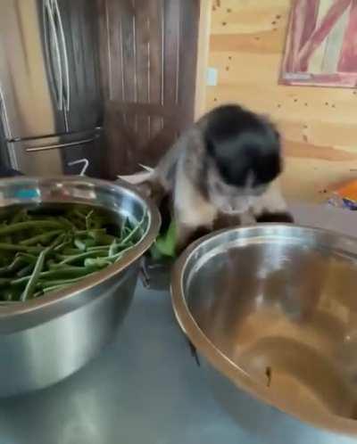 Little kitchen helper