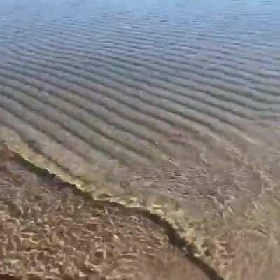 Water rippling over sand.