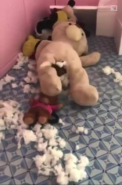 Stuffed bear gives birth