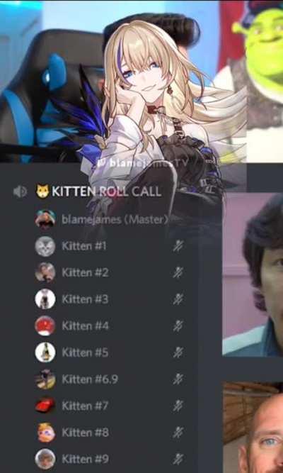 discord kitten role call