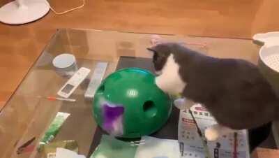 That's an ingenious cat toy.