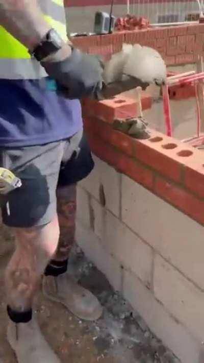 Laying bricks on a beautiful sunny day