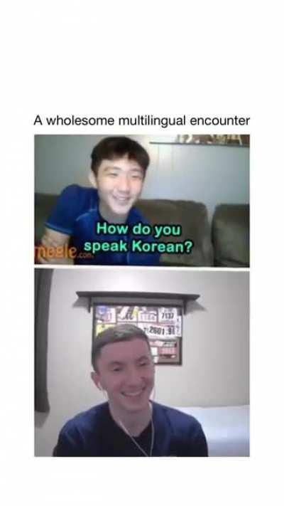 a wholesome multilingual encounter