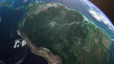 The Amazon river basin