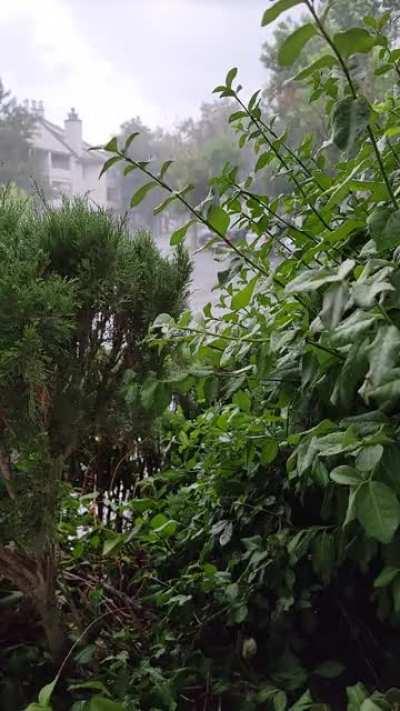 Small Afternoon Shower on my Patio