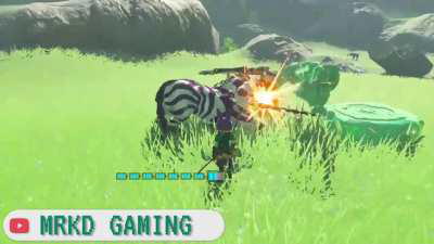 Lynel farming has never been this efficient 💚